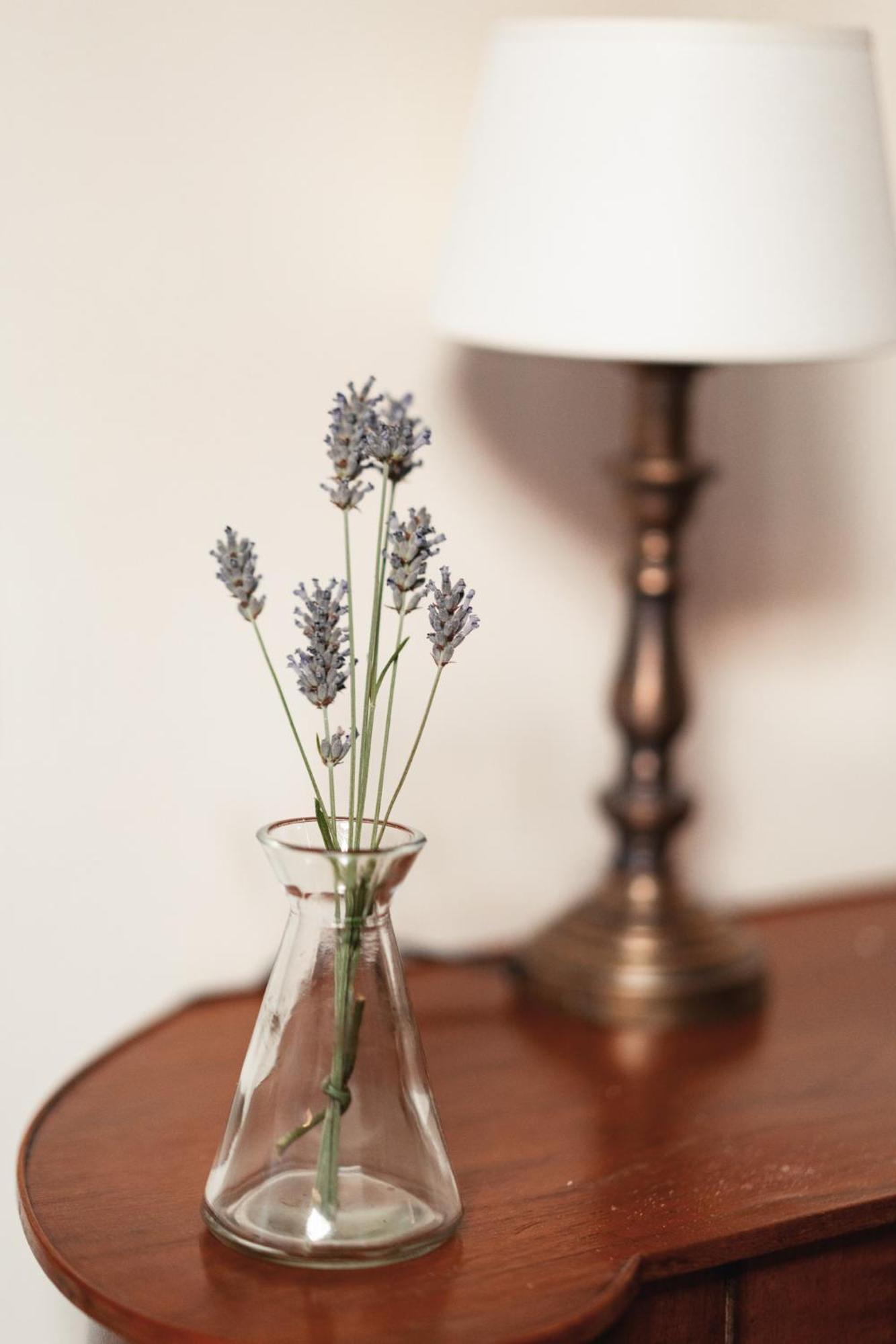 Il Pignocco Country House Santa Veneranda 部屋 写真